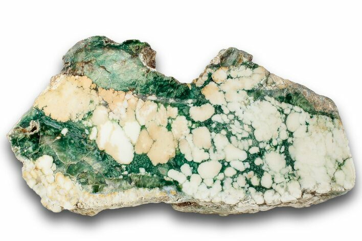 Polished Green Magneprase Section - Western Australia #240127